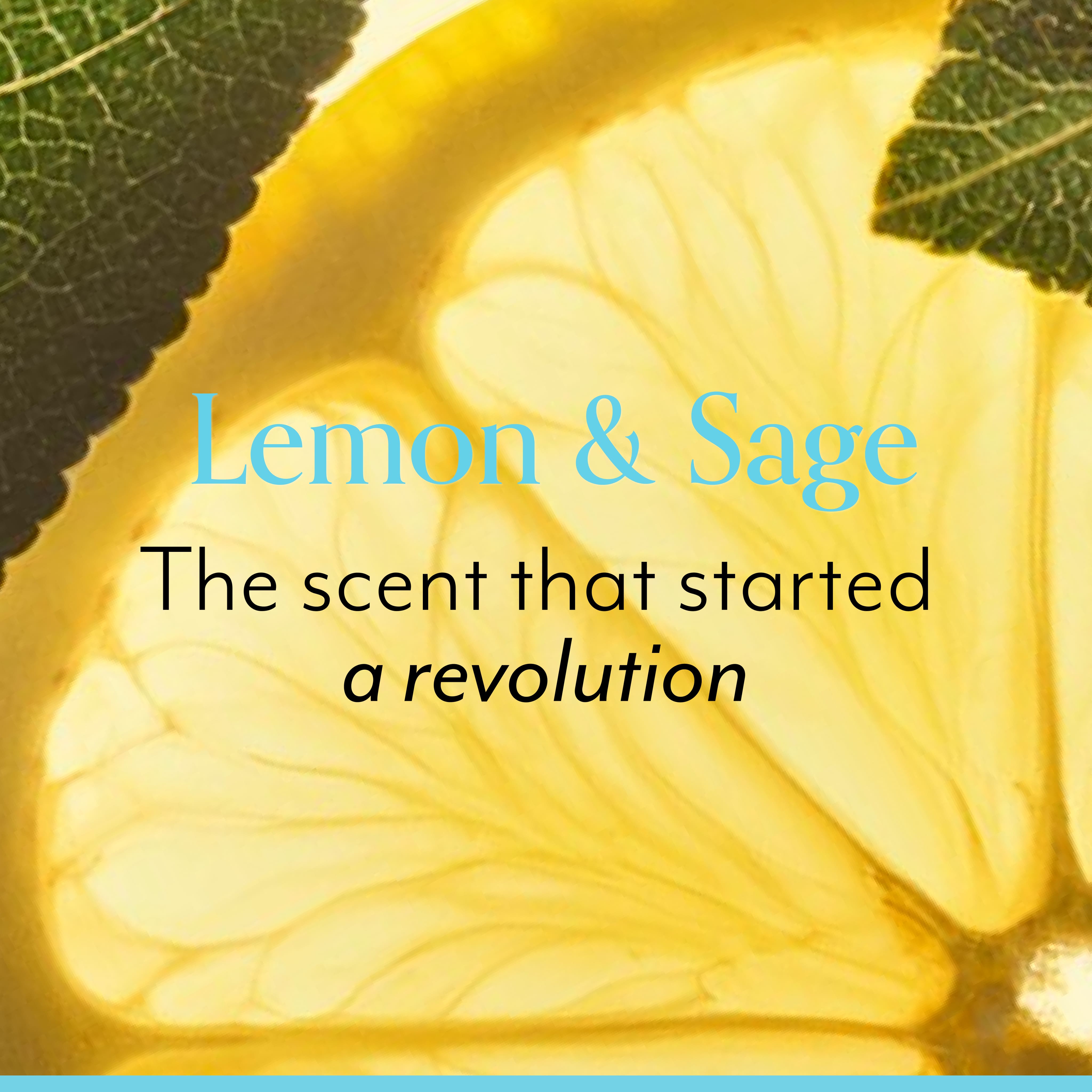 Lemon & Sage Happy Hands Cream & Wash - Image 6