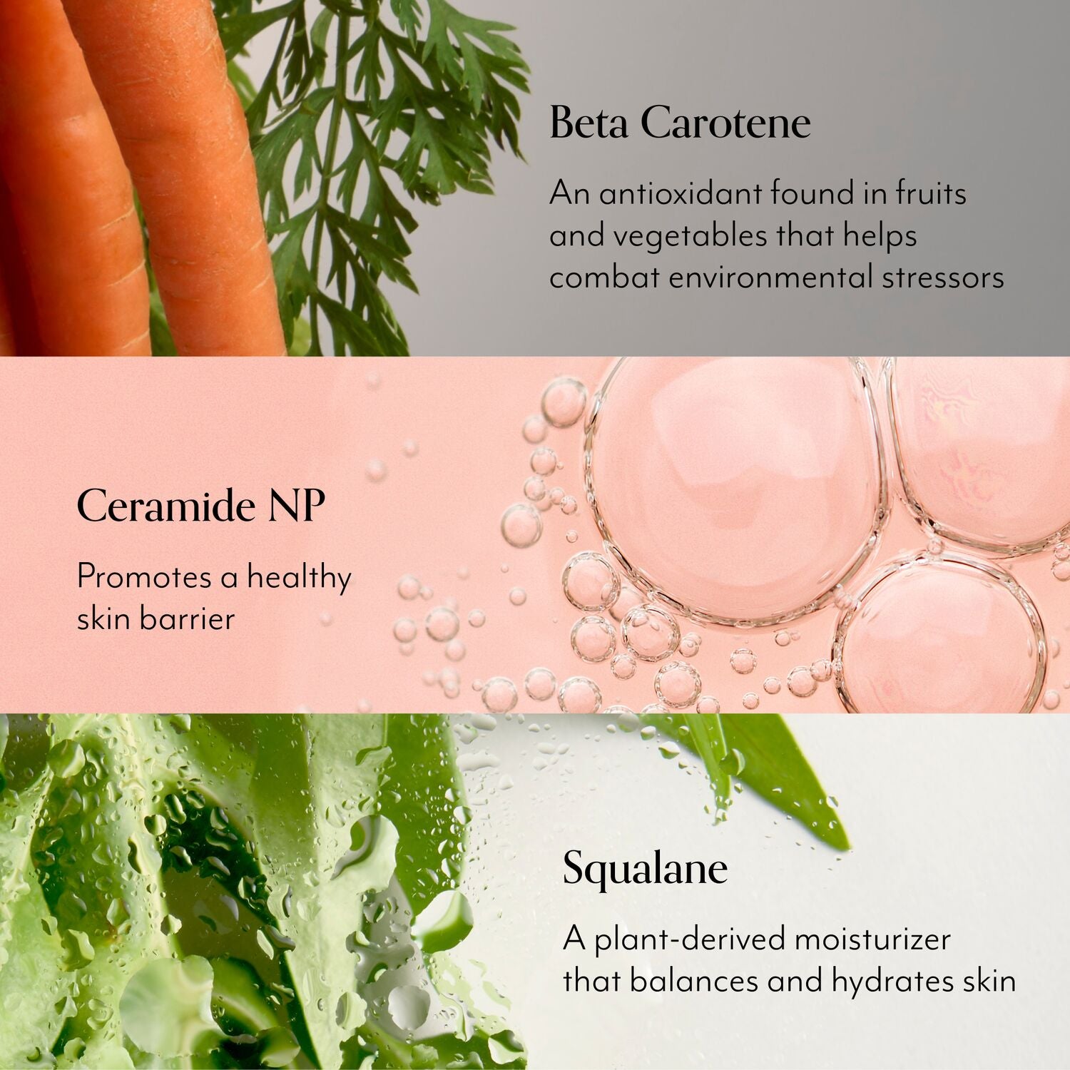 Mighty Biome Skin Barrier Toner + Serum - Image 2